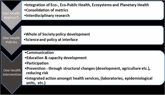 HANTA « VIRUS HANTE »/OMS / ONE HEALTH /CRIME et MENSONGE GLOBAL EXPOSÉ
